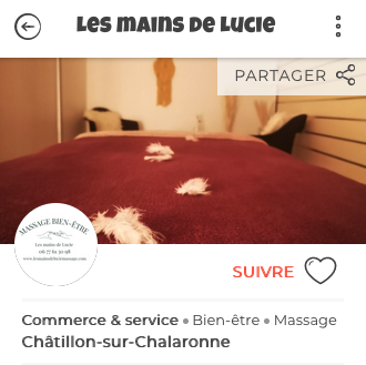 Fiche Vilocalis les Mains de Lucie